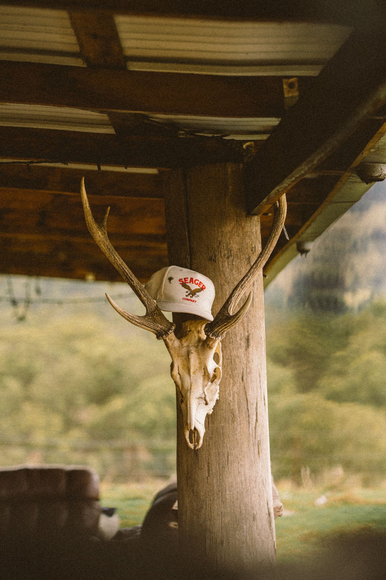 Bradley Snapback White